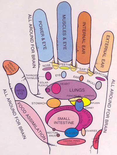Reflexology Hand Chart Neck